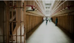 When “Crime” Is Just the Cost of Surviving.